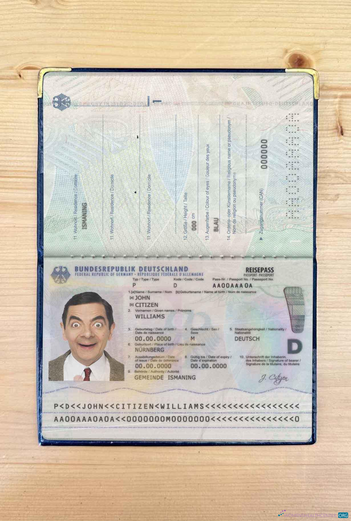 Download Germany passport (2017 present) photo look Photoshop template